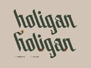 Bolliamih - Modern Calligraphy Font