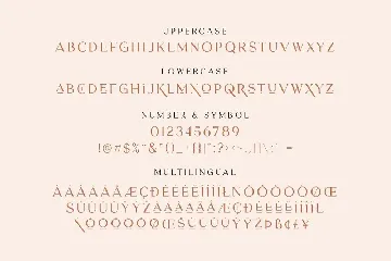 Herkings - Minimalis & Modern Serif font