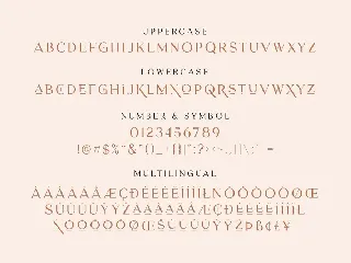 Herkings - Minimalis & Modern Serif font