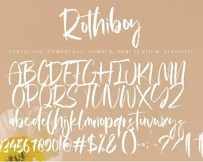 Rothiboy font