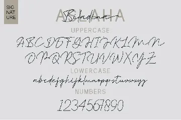 Aslaha Biladina font