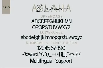 Aslaha Biladina font