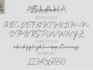 Aslaha Biladina font