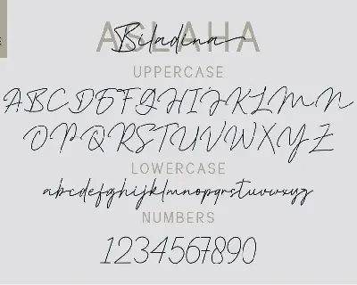 Aslaha Biladina font