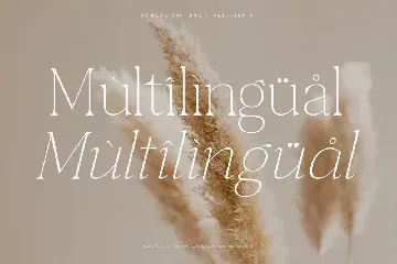 Sorealism True Italic Serif Font