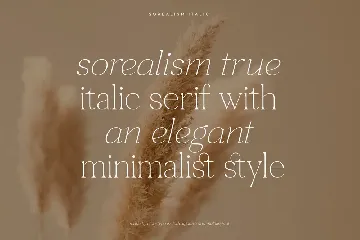 Sorealism True Italic Serif Font