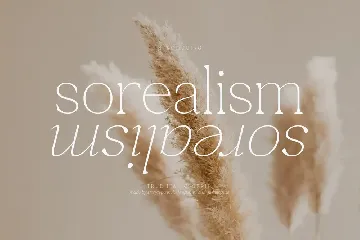 Sorealism True Italic Serif Font