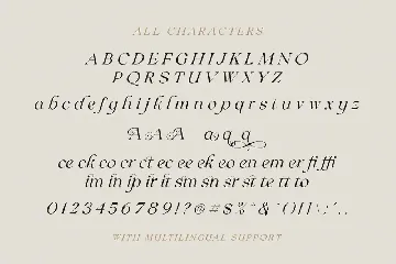 Claire Murphy - Stylish Italic Serif font