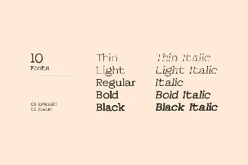 Leipzer - A Simple Serif Typeface font