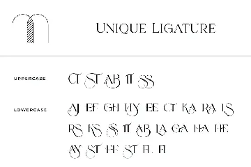 Mosseta A Elegant Ligature Display Font