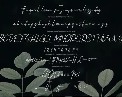 Catiseye | Modern Script Font