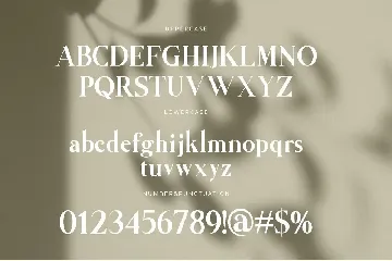 Anything Branding Serif Font