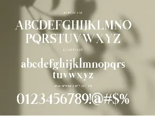 Anything Branding Serif Font