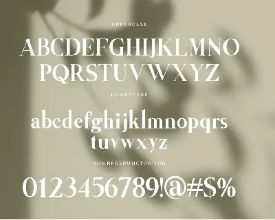 Anything Branding Serif Font