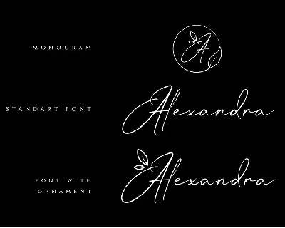 Mrs Alexandra Elegant Signature Font