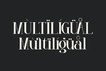 Venezula Stylish Serif Font