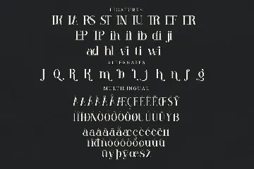 Venezula Stylish Serif Font