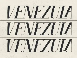 Venezula Stylish Serif Font