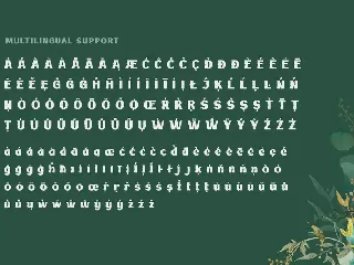 BAKRUV | Serif Classic Modernism font