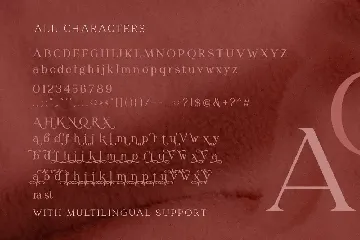 Redrains - Modern Serif Family font