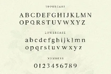 Piziza Brush Font