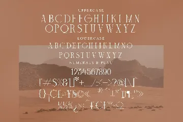 Mechago Stylish Serif Font