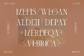 Mechago Stylish Serif Font