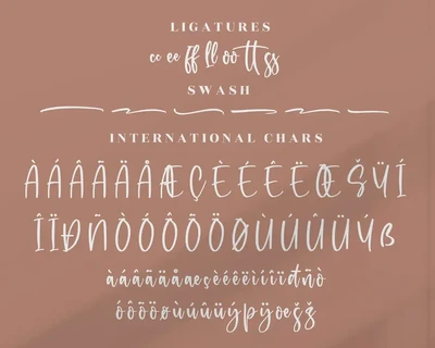 Rollection Modern Handwritten Font