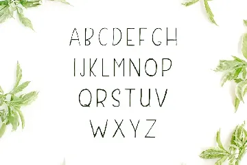 Damean Handmade Duo Font