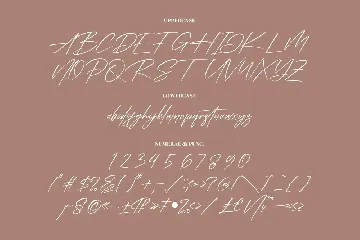 Agatha Paterson Modern Signature Font