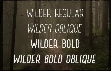 Wilder font