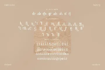 Barjiah Stylish Serif Font