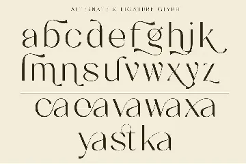 Steva font