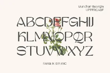 Buncher Georgia font