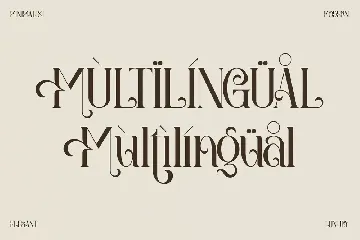 Amegap Stylish Serif Font