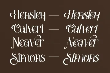 Amegap Stylish Serif Font