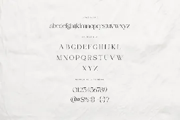 She Lost Her Mind Font Duo