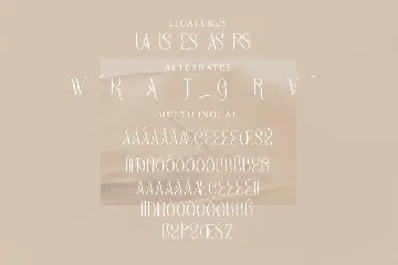 Bagias Stylish Serif Font