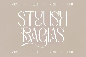 Bagias Stylish Serif Font