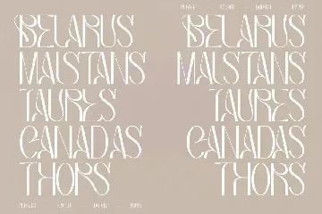 Bagias Stylish Serif Font