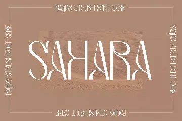 Bagias Stylish Serif Font