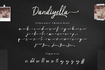 Dandiyella - Handwritten Swash Font