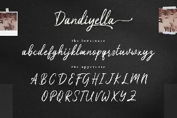 Dandiyella - Handwritten Swash Font