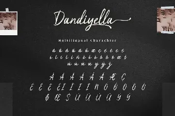 Dandiyella - Handwritten Swash Font