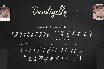 Dandiyella - Handwritten Swash Font