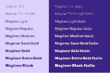 Maginer - Quirky Display Font Family