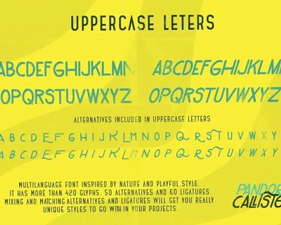 Pandora Callister Font