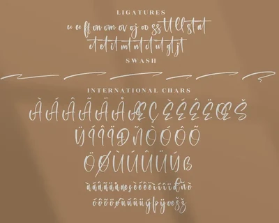 Registeria Modern Signature Font