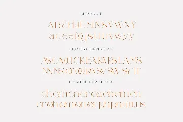 Weaser Modern Serif font