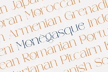 Weaser Modern Serif font